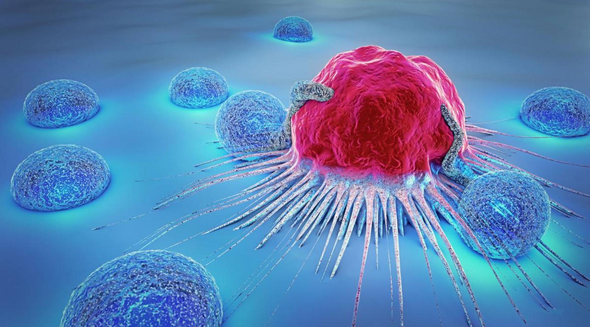 New cancer therapies