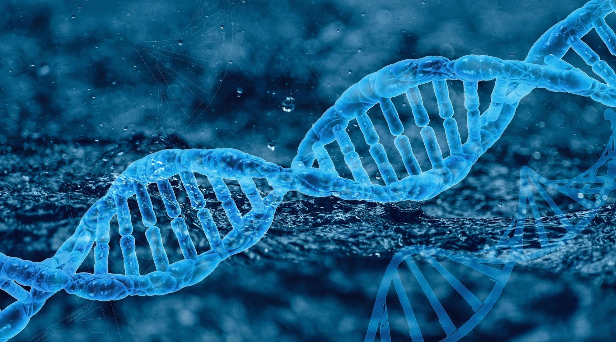 Biotech dna