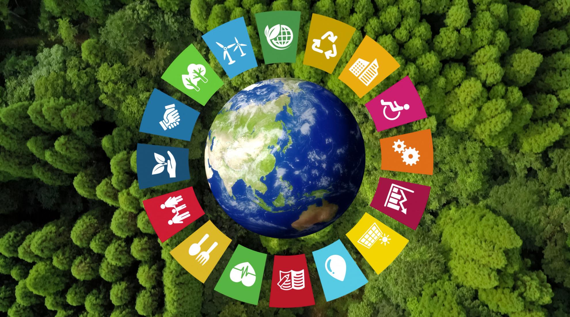 SDG circle