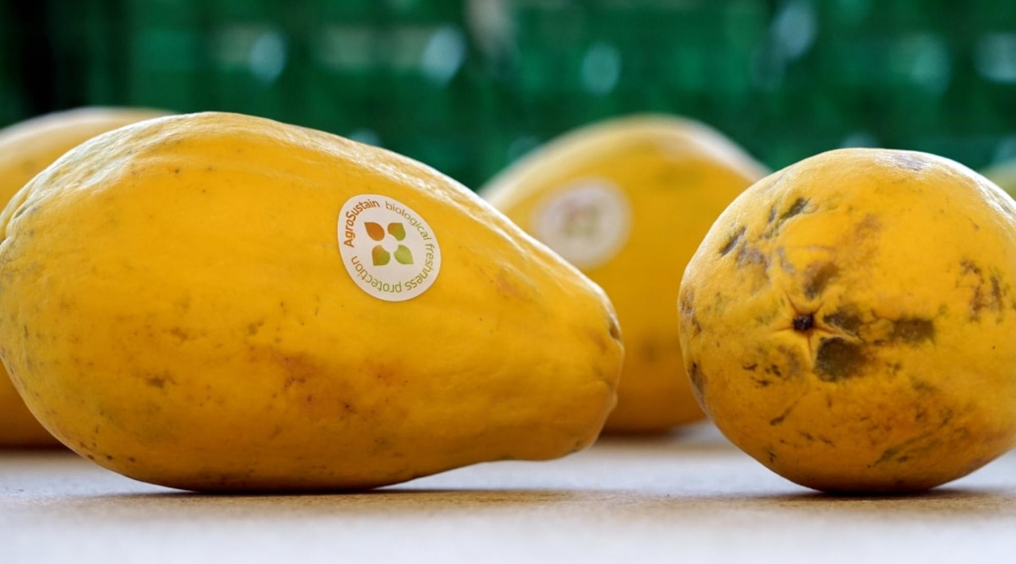 Agrosustain