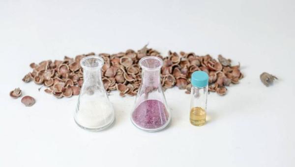 Bloom Biorenewables 