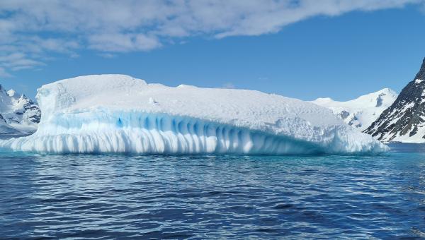 Antarctic