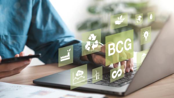 Sustainable corporations