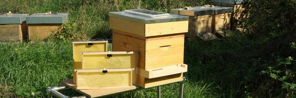 Vatorex special heating system for bee colonies
