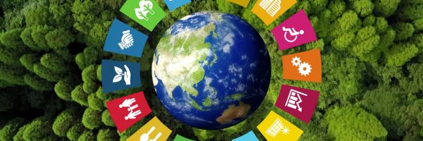 SDG circle