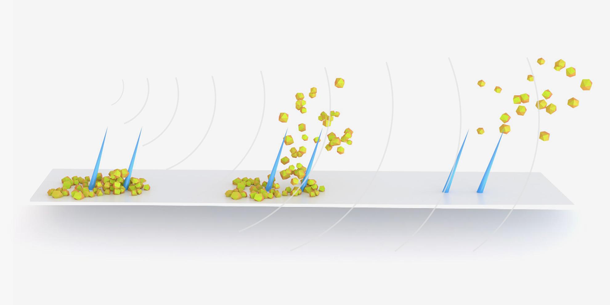 The cilia-coated surfaces respond to ultrasound by generating microstreaming that removes both biofilms and encrustations. (Source: Amado P, Dillinger C et al. PNAS 2025, modified)